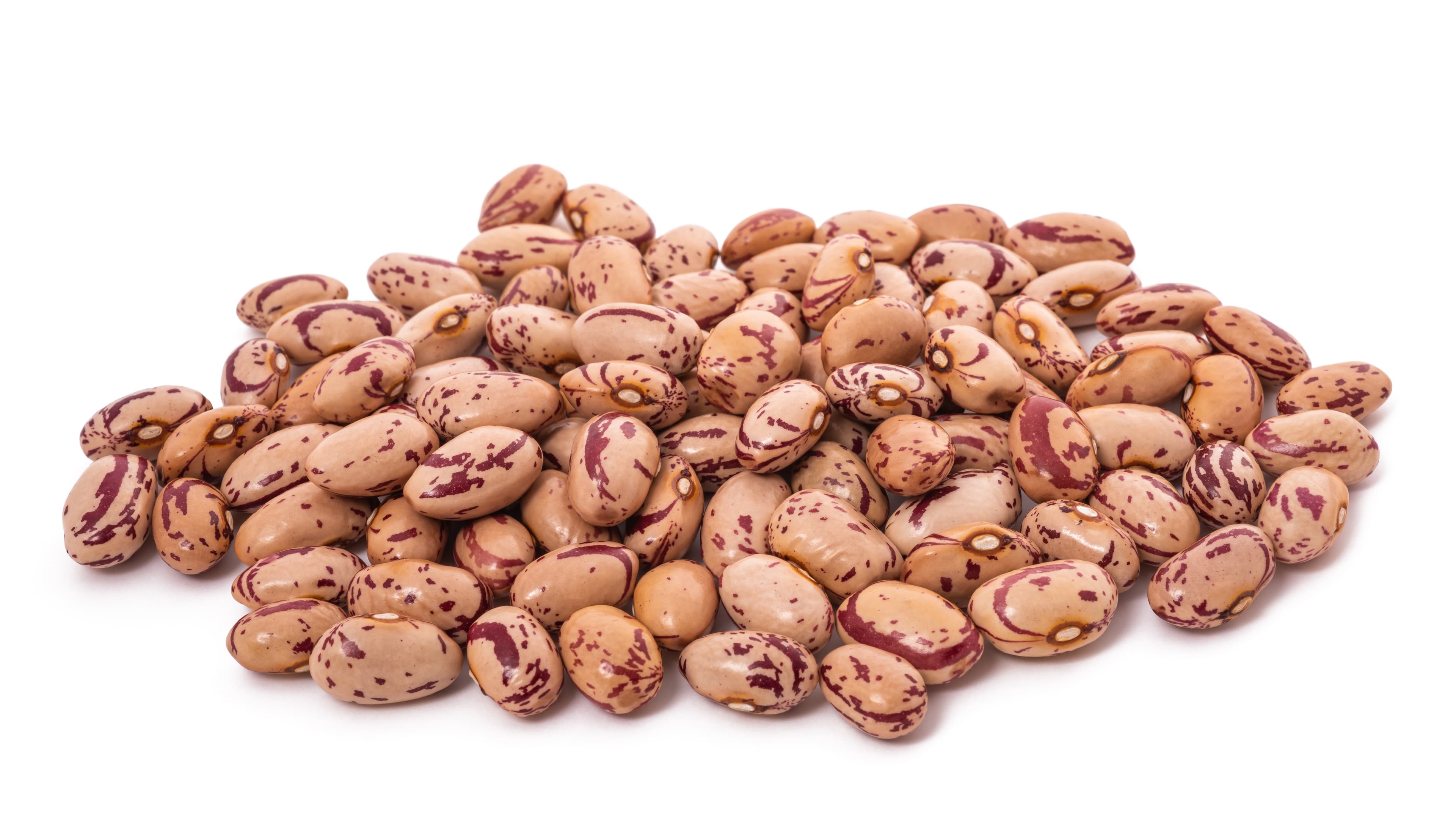 Cranberry Beans