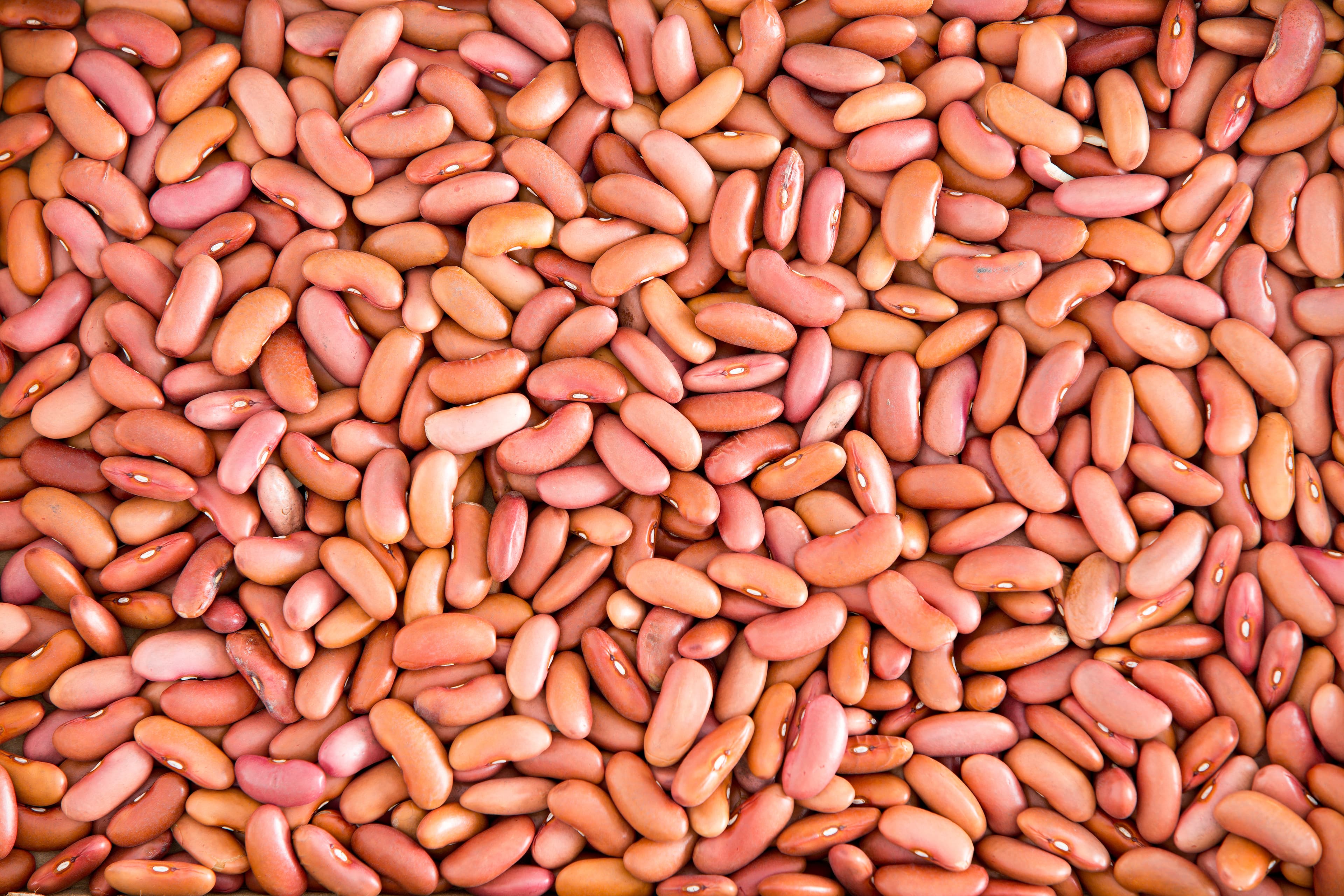 Light Red Kidney Beans