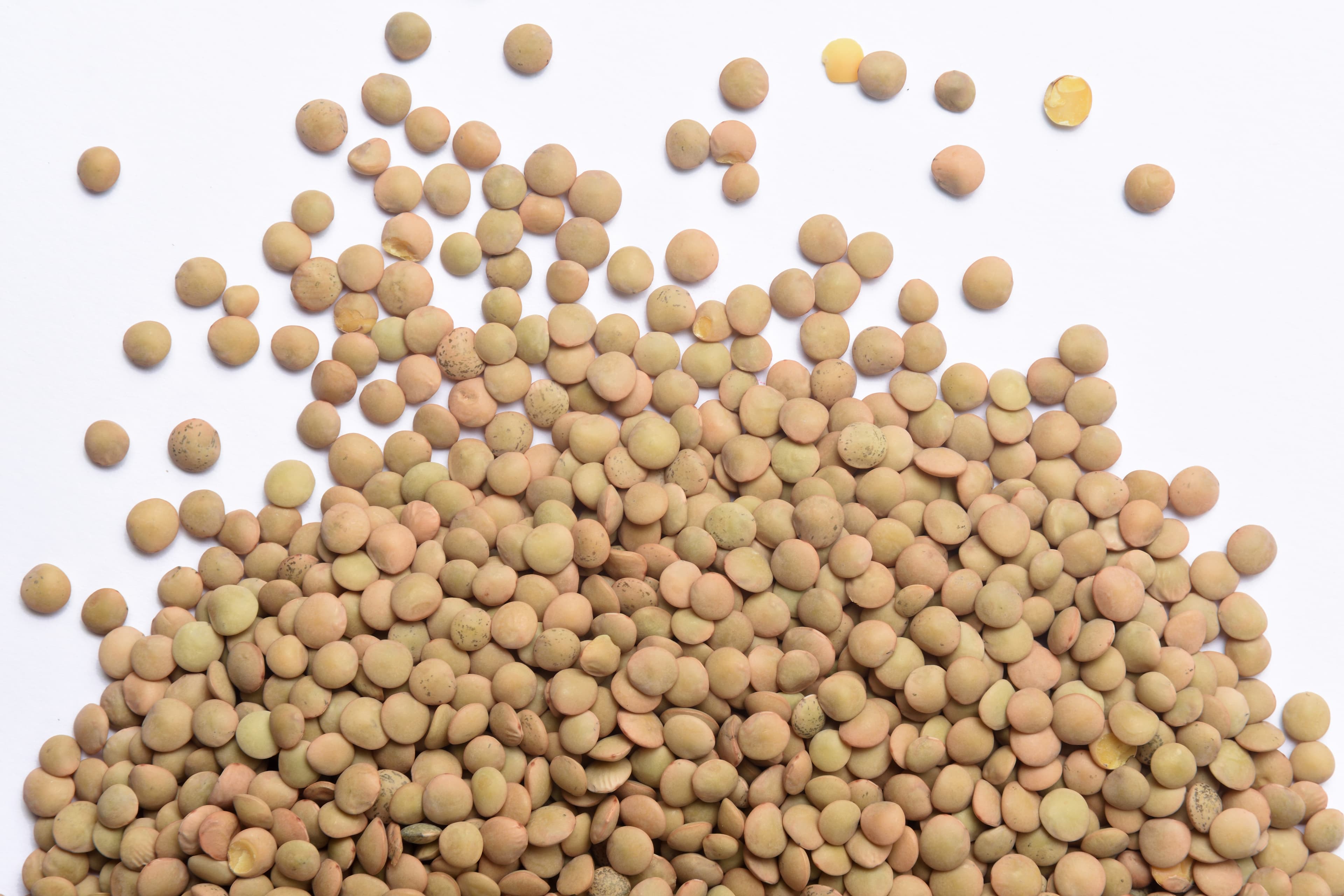 Eston Lentils