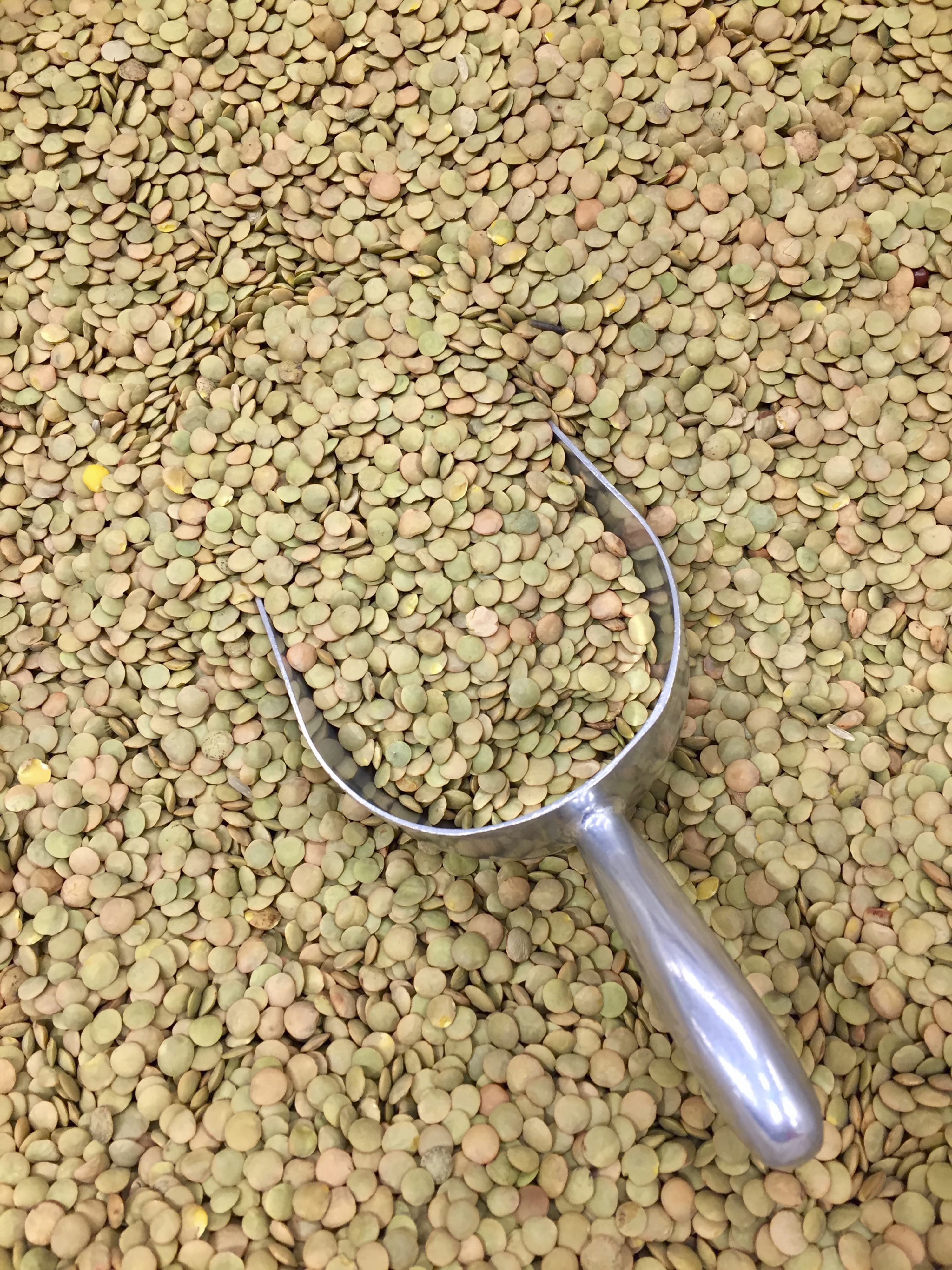 Laird Green Lentils