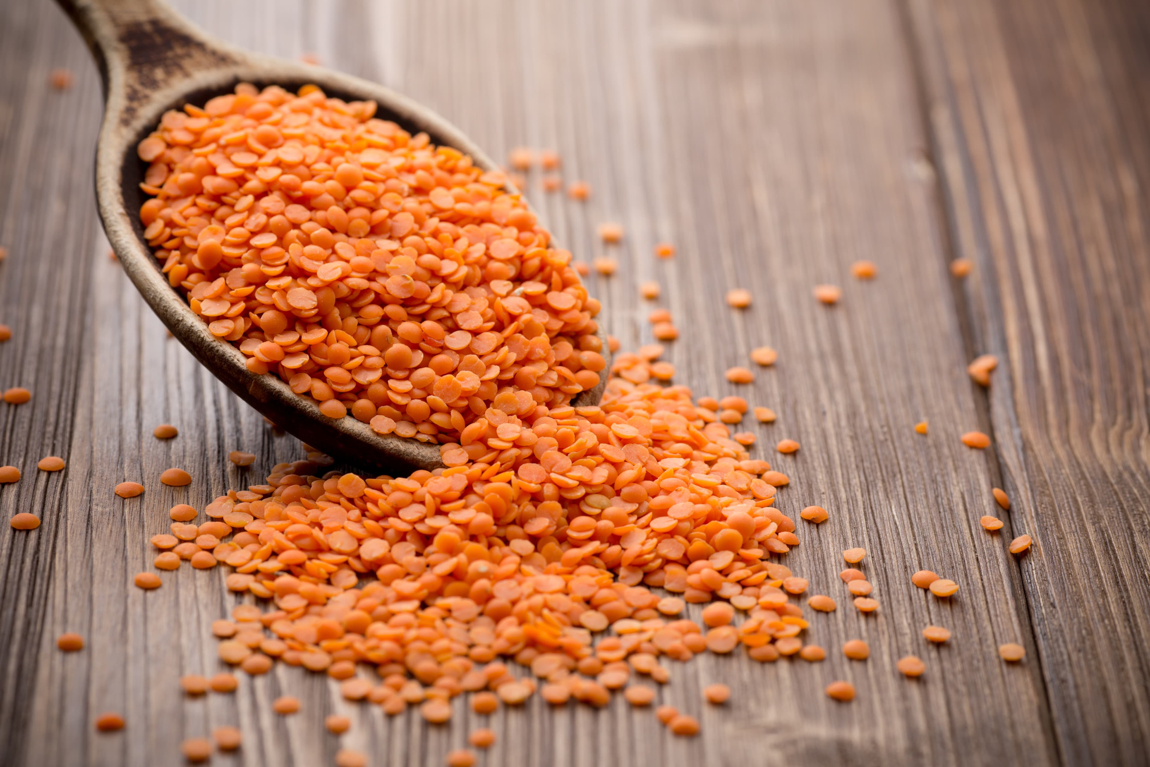 Red Split Lentil