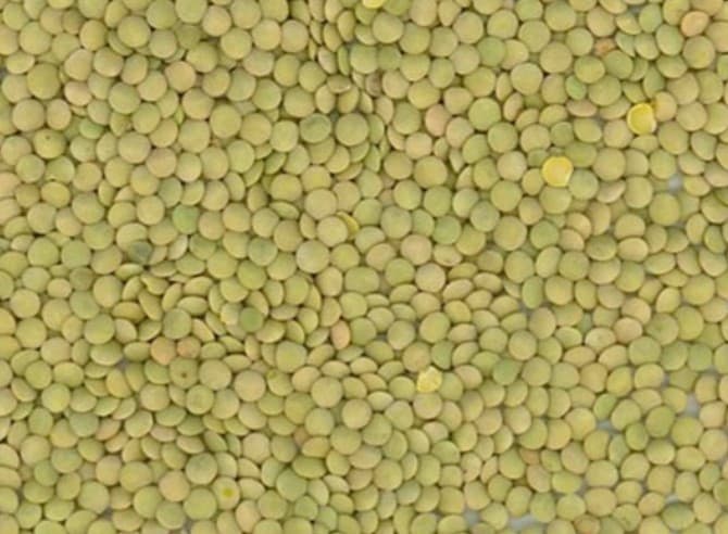 Richlea Lentils