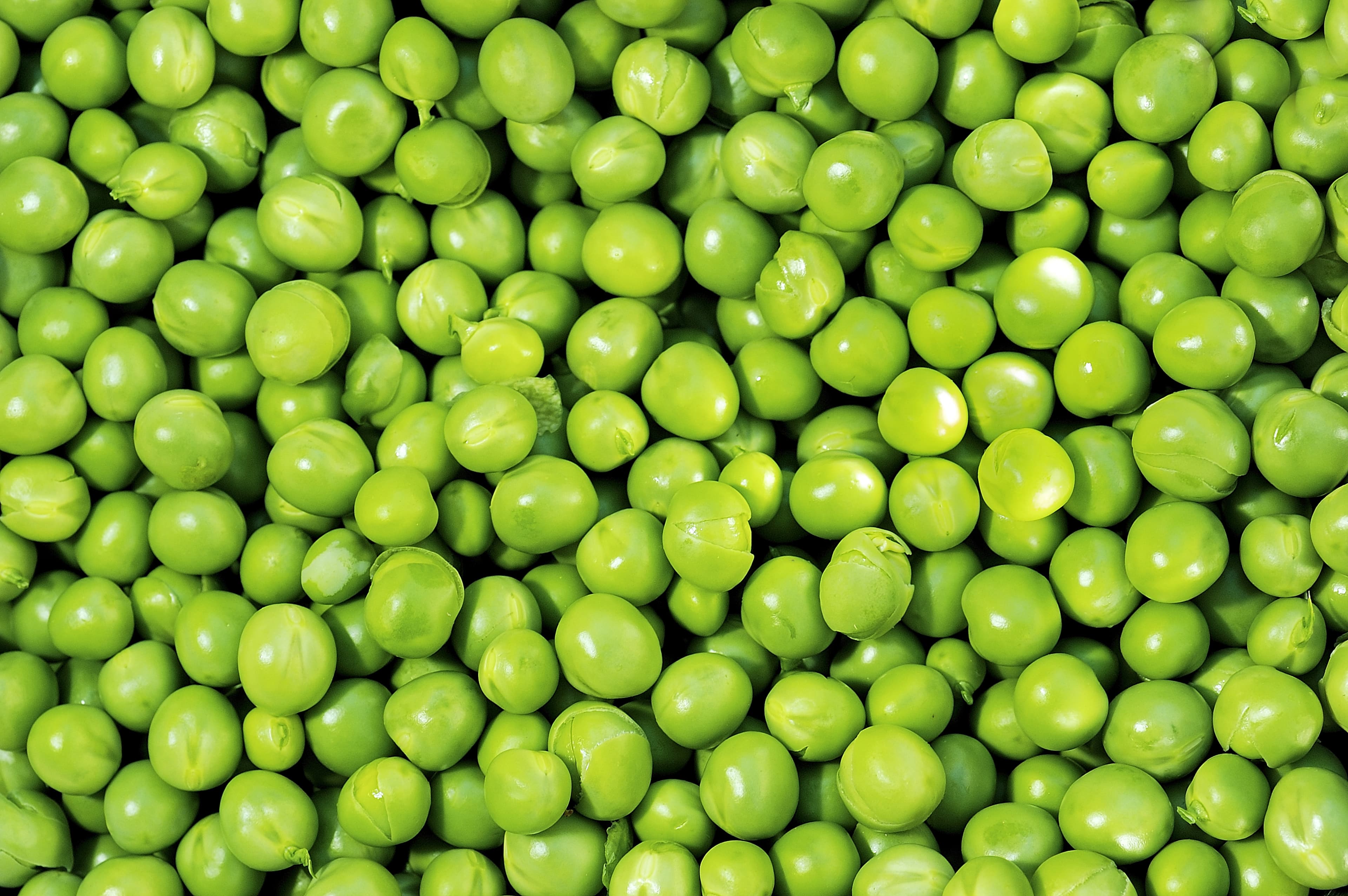 Green Peas
